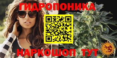 PSILOCYBIN Коммунар