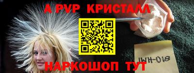 стаф Кингисепп