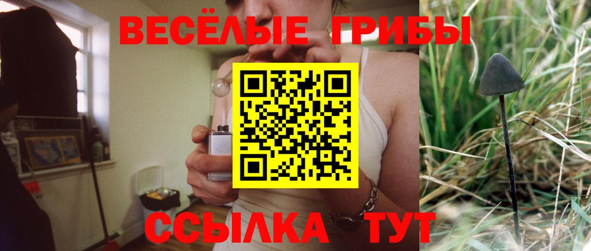 Биробиджан  закладки  Галлюциногенные грибы Cubensis  Вход с VPN  Галлюциногенные грибы Psilocybine cubensis 